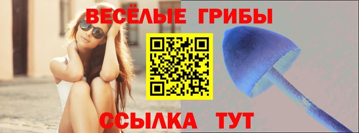 Сыктывкар  Псилоцибиновые грибы GOLDEN TEACHER  Вход с VPN 